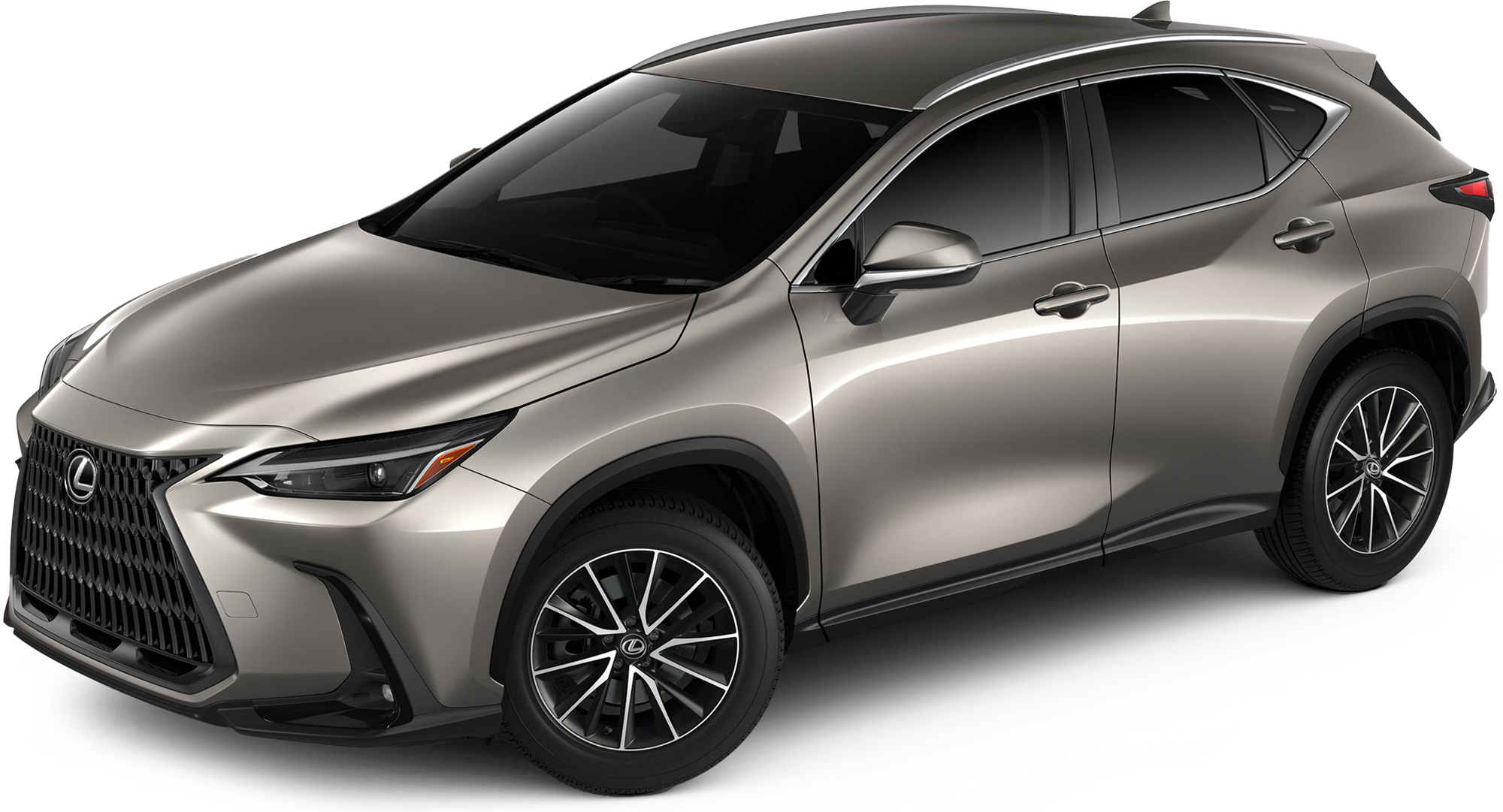 2023 Lexus NX 250 Incentives Specials Offers In Raleigh NC At Johnson Lexus
